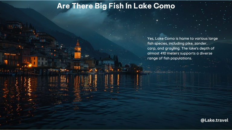 Are There Big Fish in Lake Como