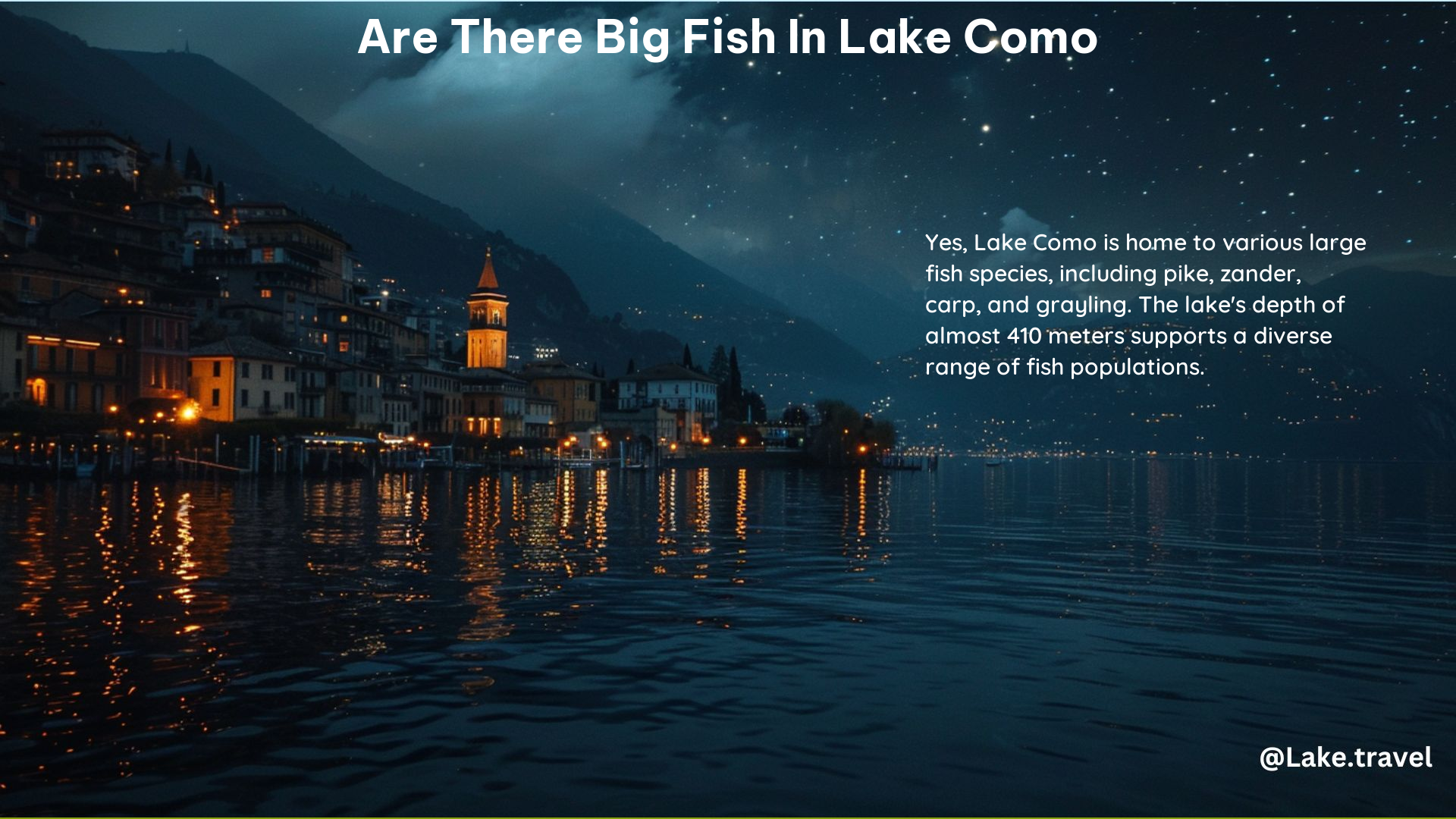 Are There Big Fish in Lake Como