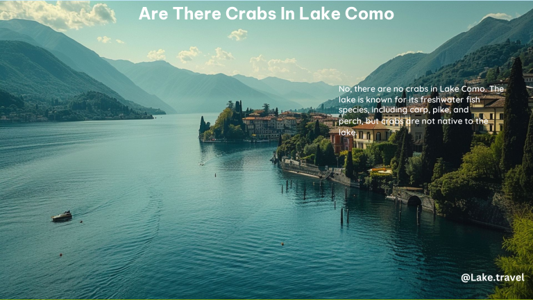 Are There Crabs in Lake Como