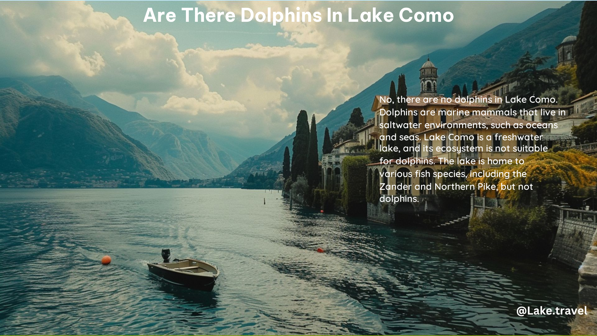 Are There Dolphins in Lake Como