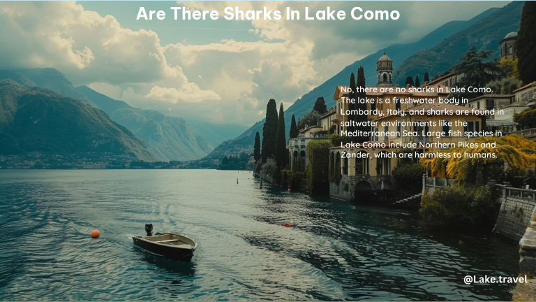 Are There Sharks in Lake Como