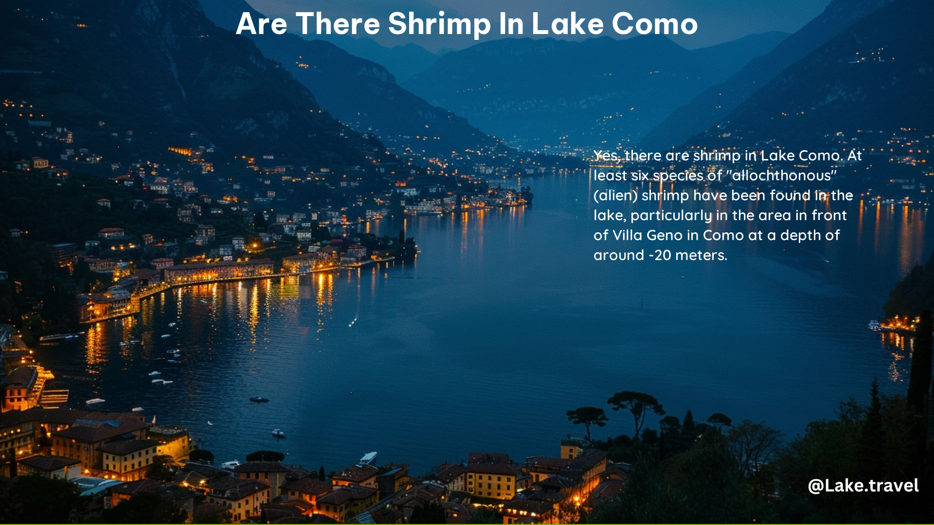 Are There Shrimp in Lake Como