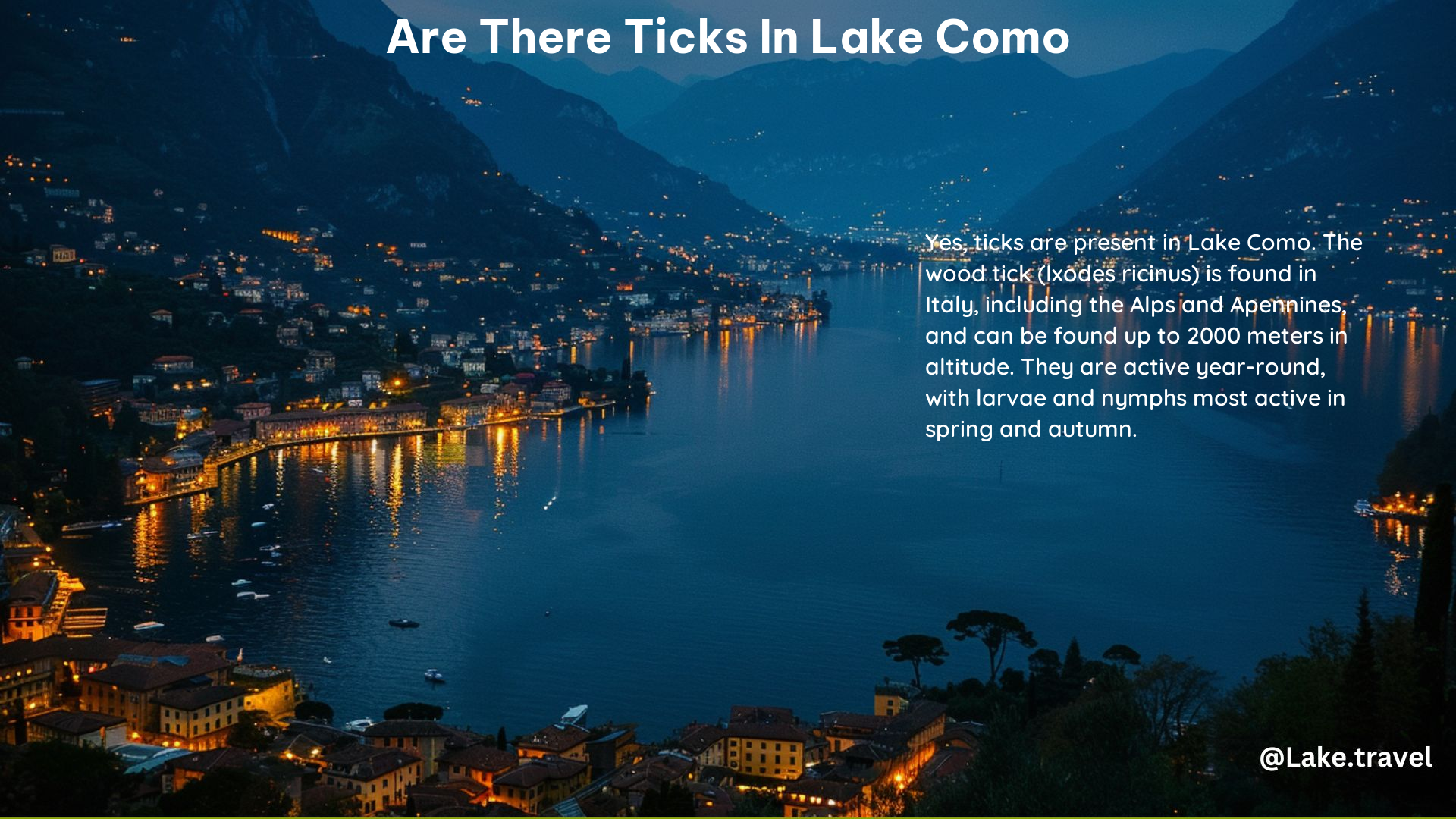 Are There Ticks in Lake Como