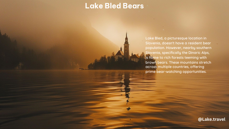 Lake Bled Bears