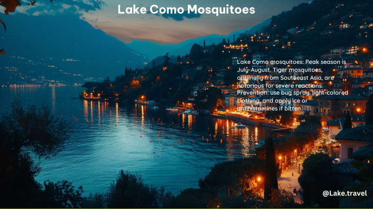 Lake Como Mosquitoes