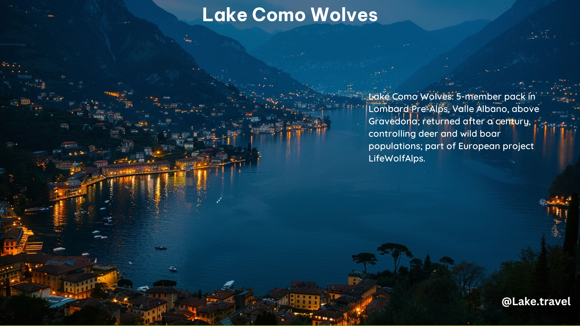 Lake Como Wolves