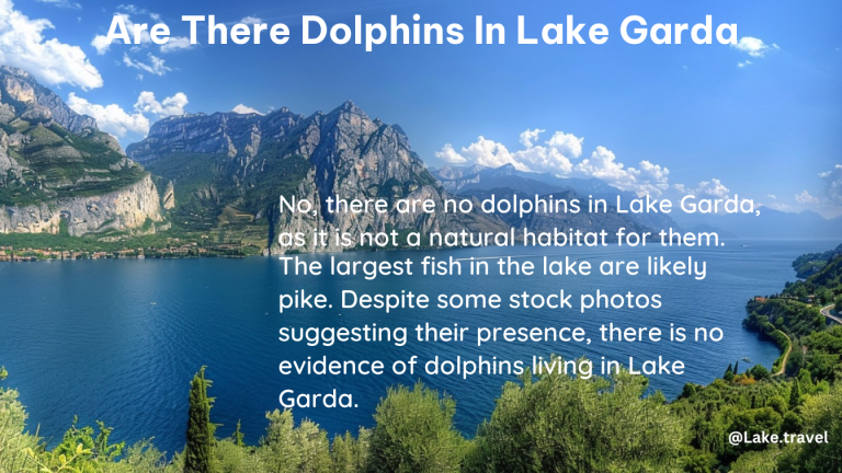 are there dolphins in lake garda