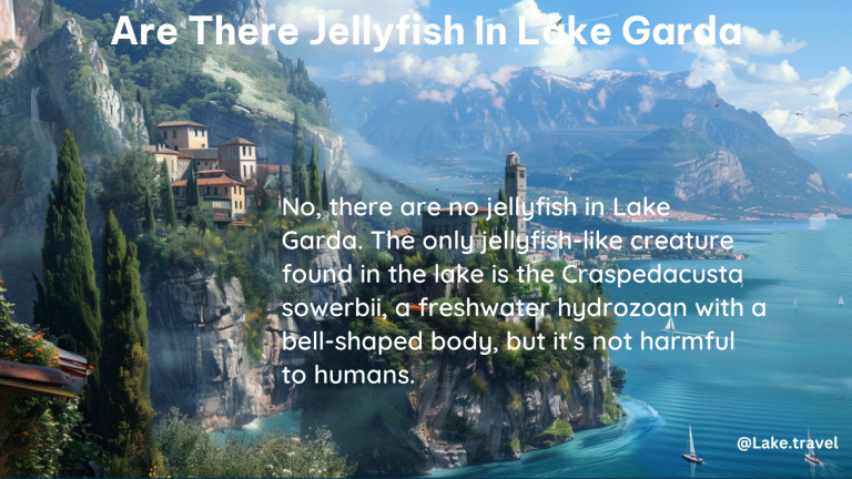 are there jellyfish in lake garda