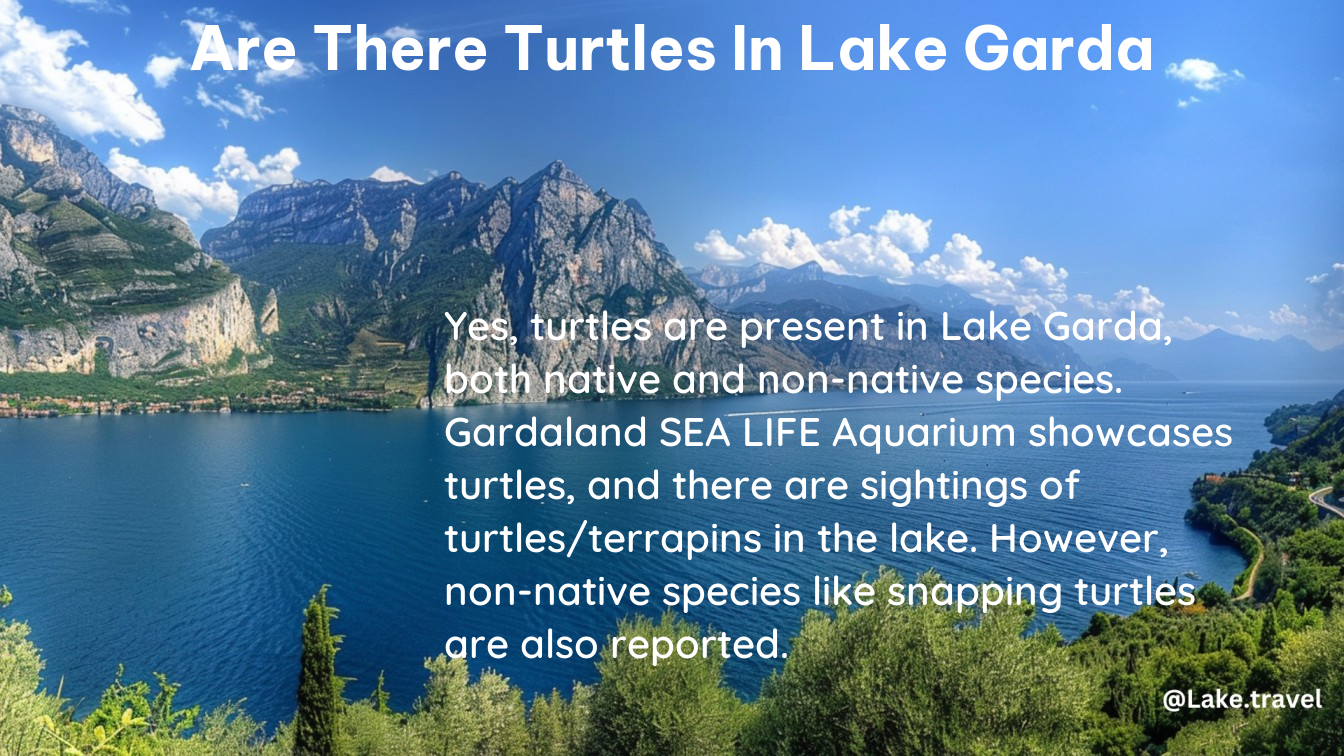 are there turtles in lake garda