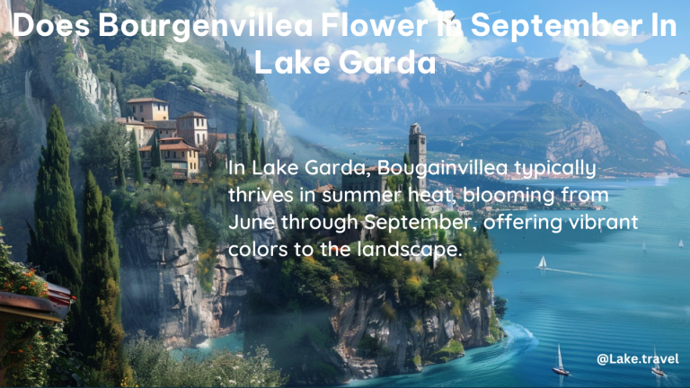 does bourgenvillea flower in september in lake garda