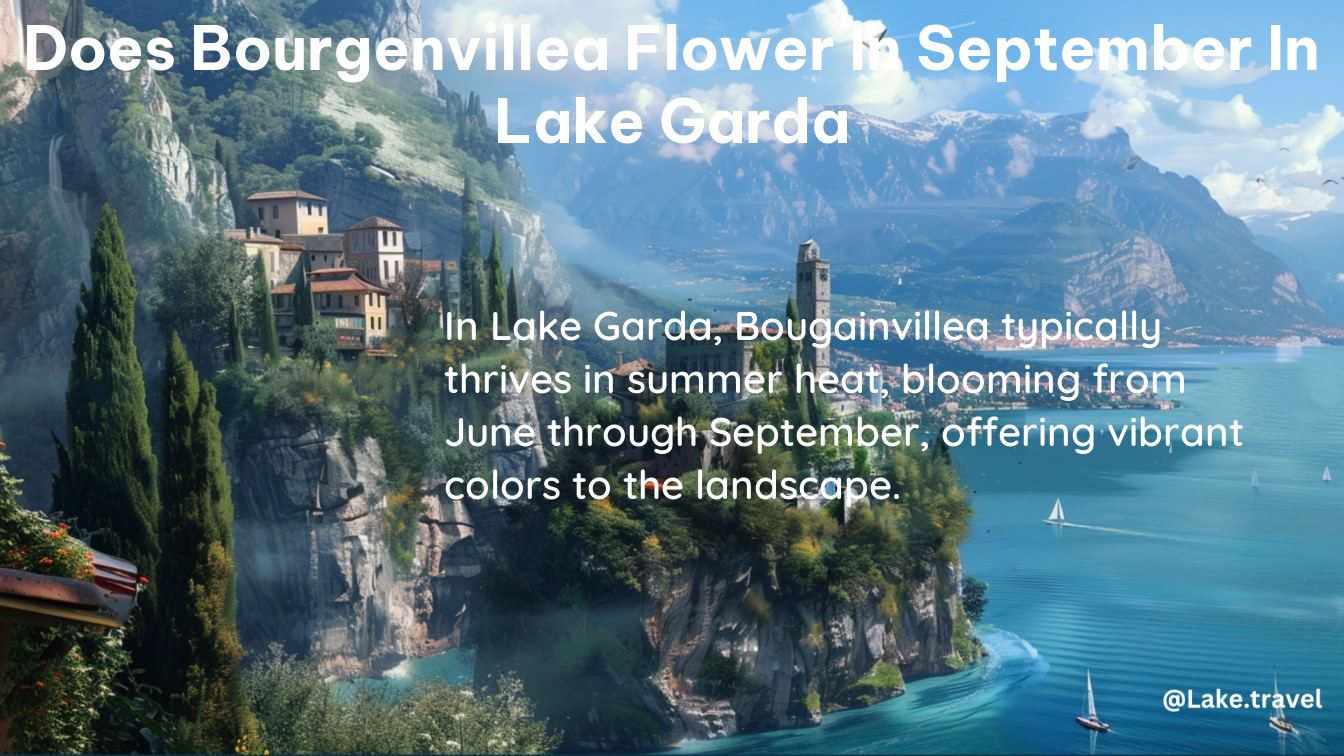 does bourgenvillea flower in september in lake garda