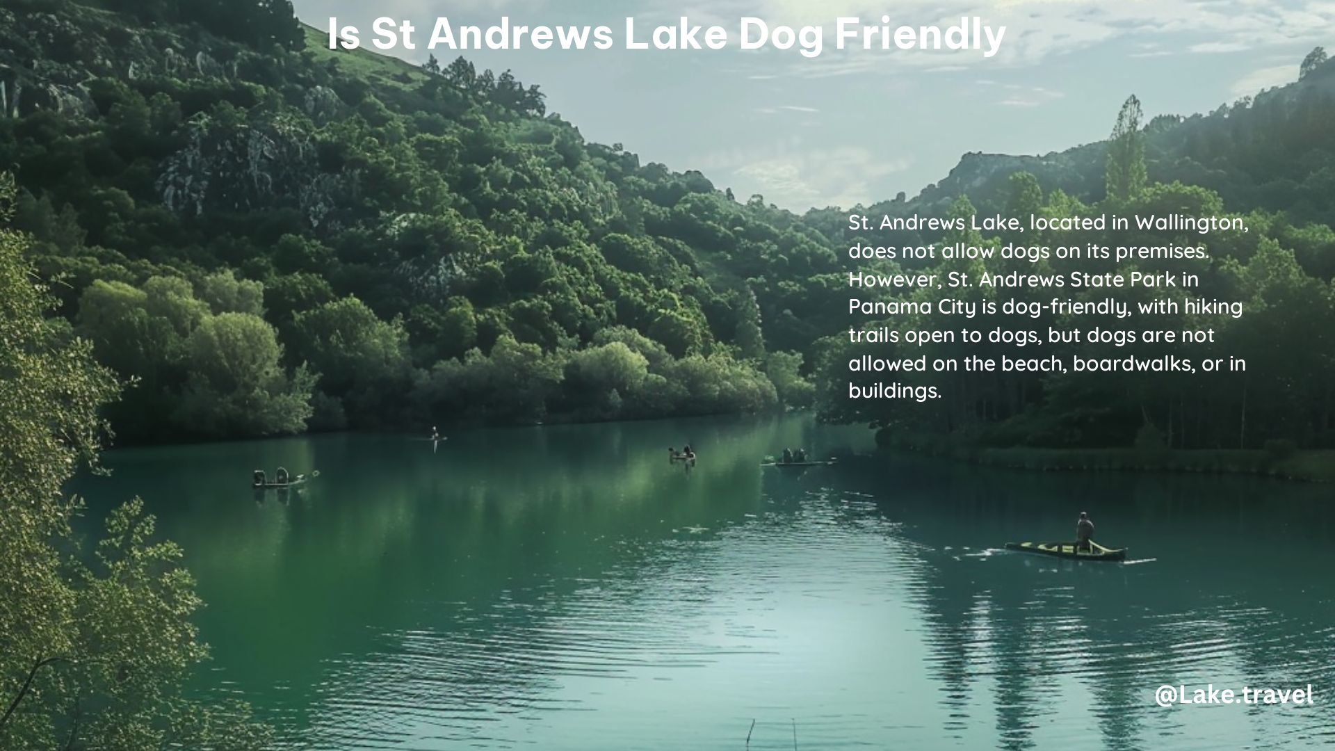 is st andrews lake dog friendly