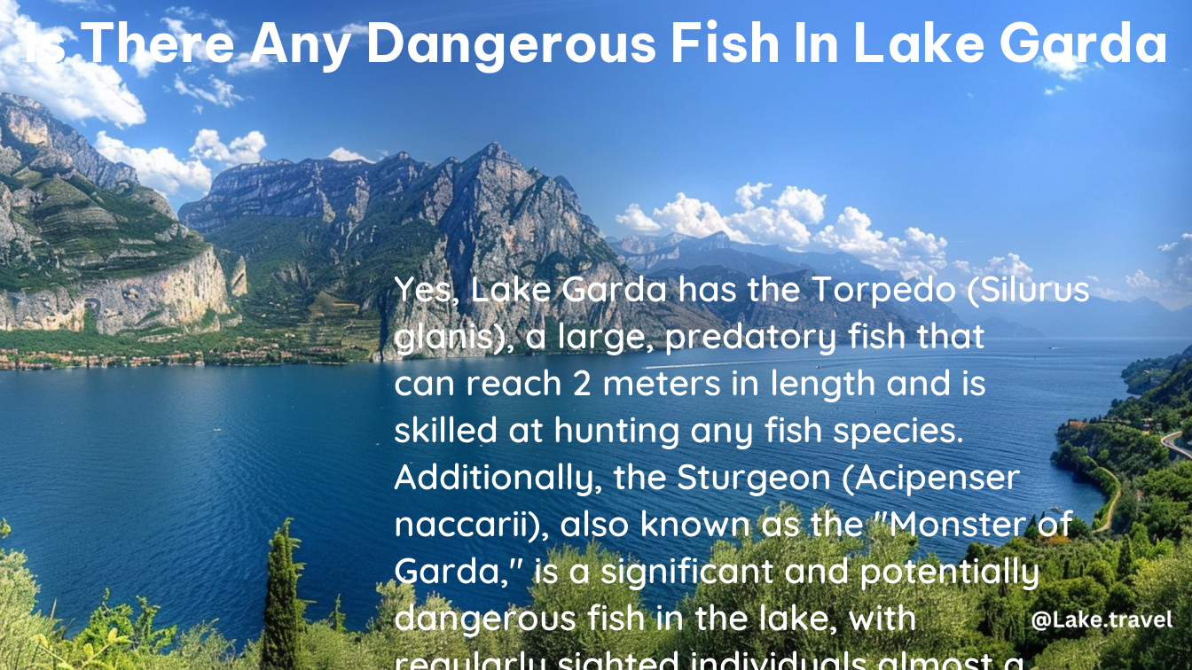 is there any dangerous fish in lake garda