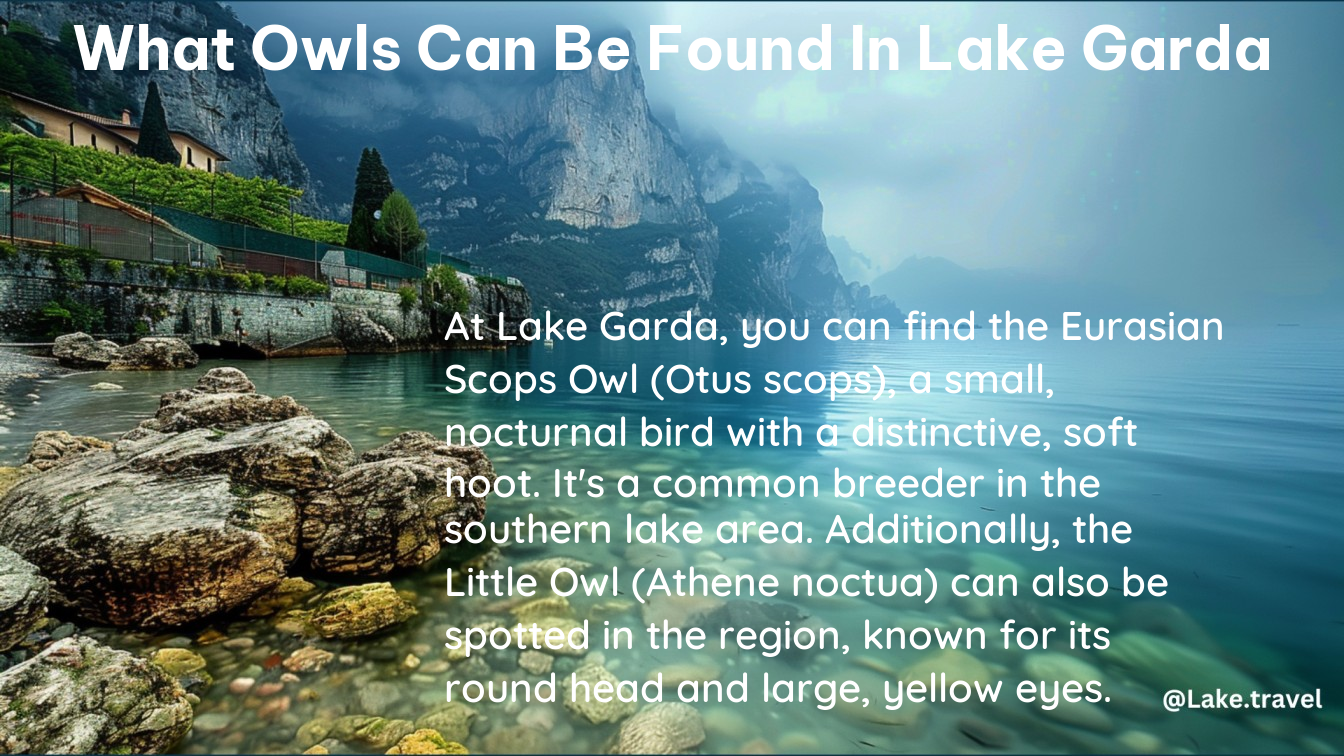 what owls can be found in lake garda