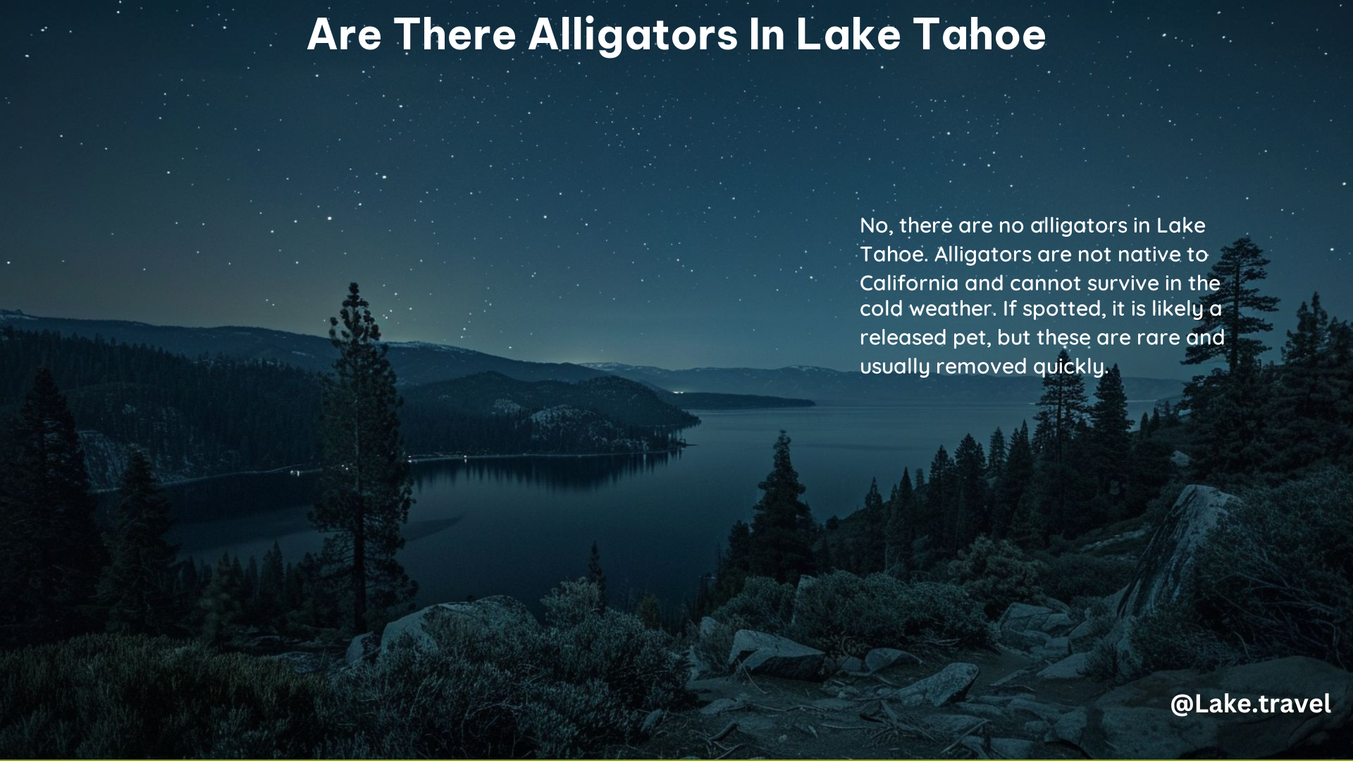 Are There Alligators in Lake Tahoe