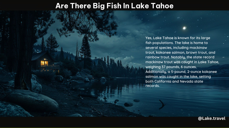 Are There Big Fish in Lake Tahoe