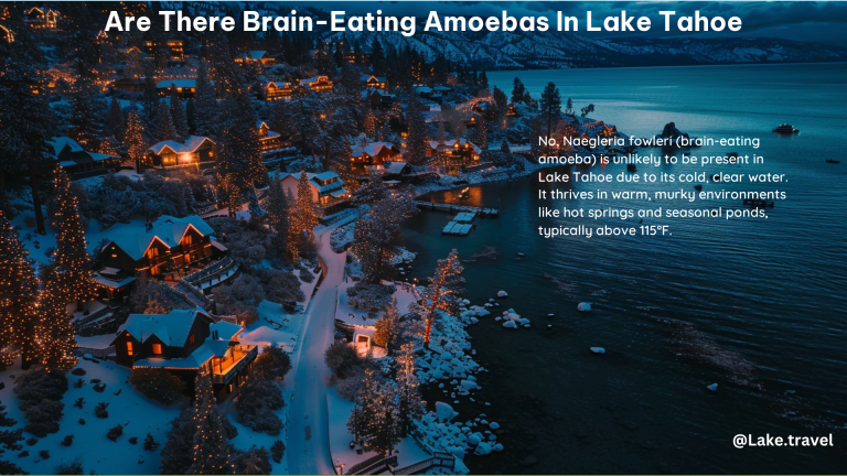 Are There Brain Eating Amoebas in Lake Tahoe