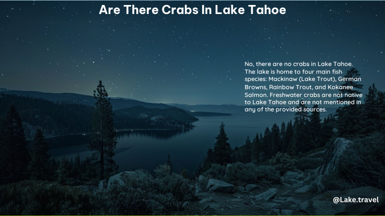 Are There Crabs in Lake Tahoe