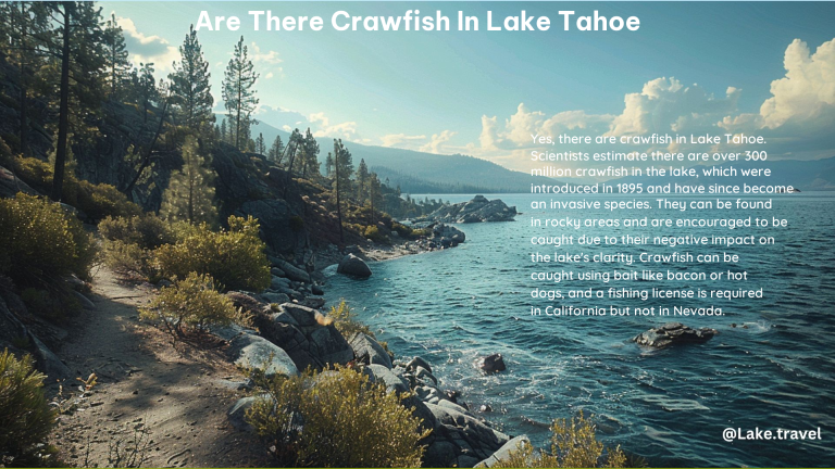 Are There Crawfish in Lake Tahoe