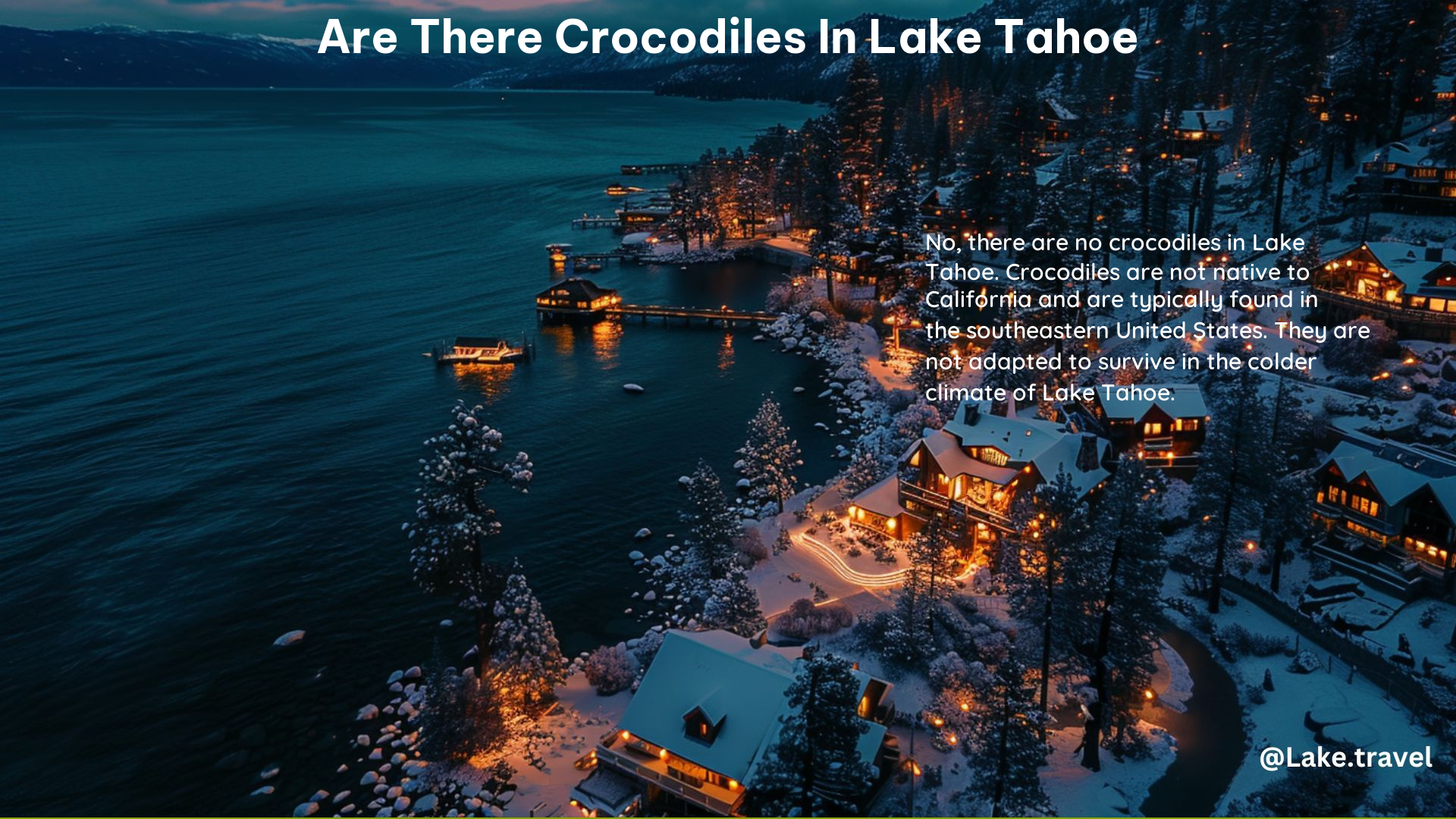 Are There Crocodiles in Lake Tahoe