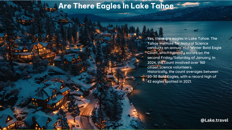 Are There Eagles in Lake Tahoe