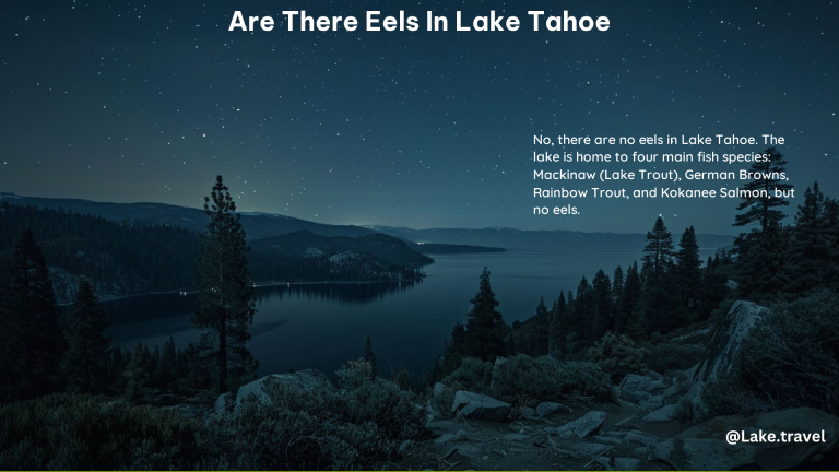 Are There Eels in Lake Tahoe