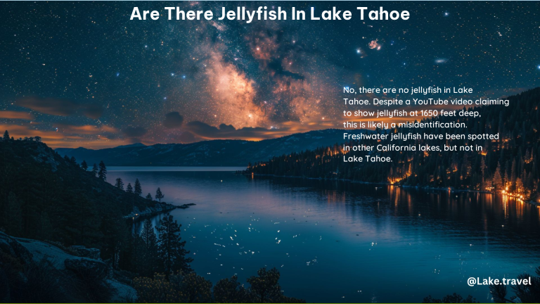 Are There Jellyfish in Lake Tahoe