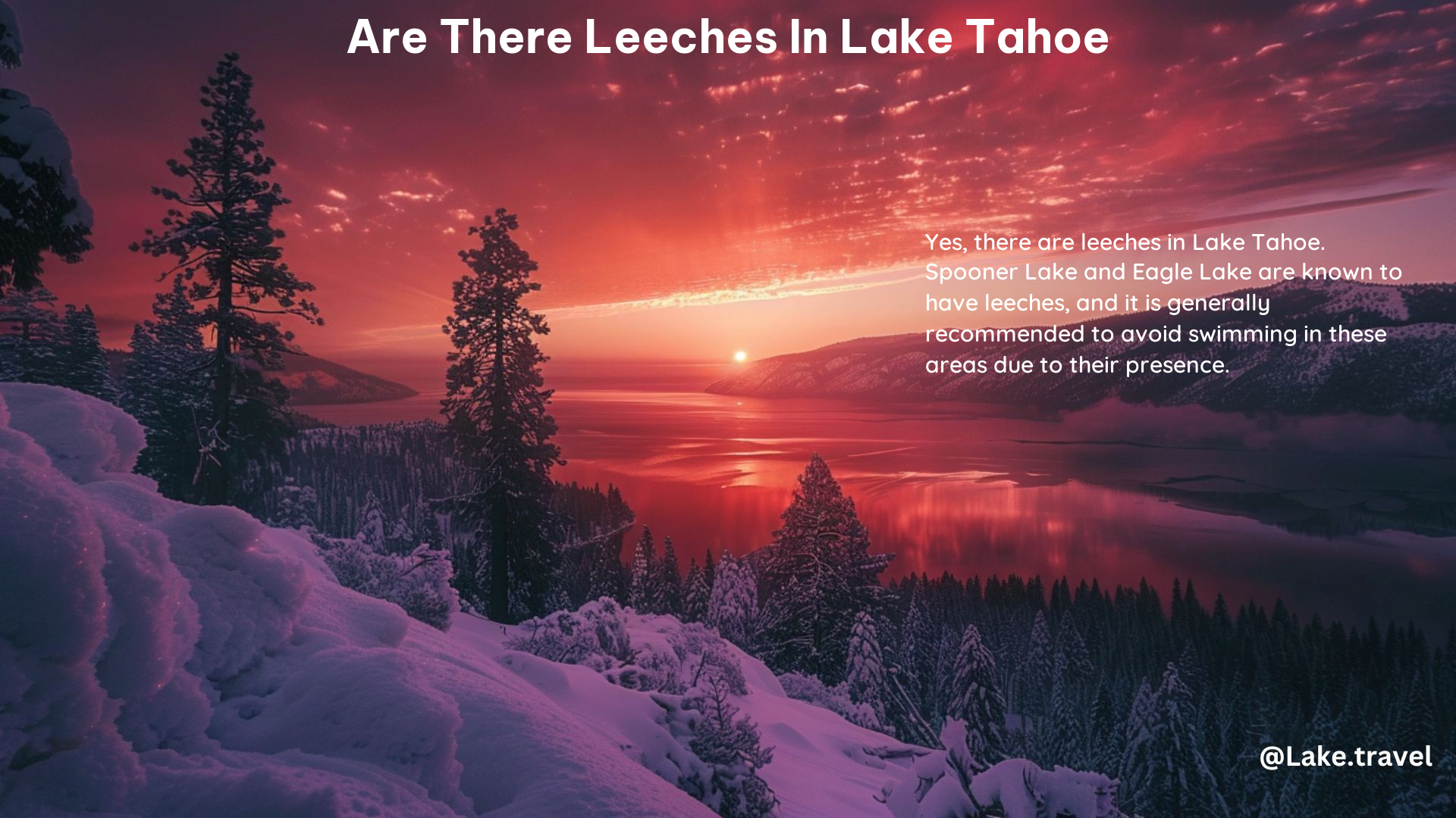 Are There Leeches in Lake Tahoe