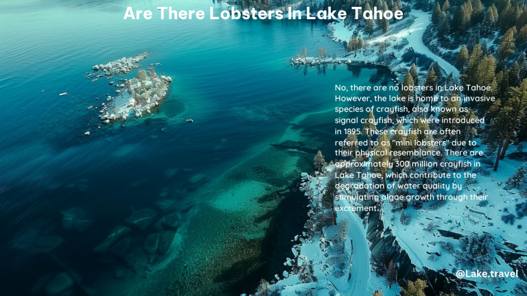 Are There Lobsters in Lake Tahoe