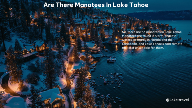 Are There Manatees in Lake Tahoe