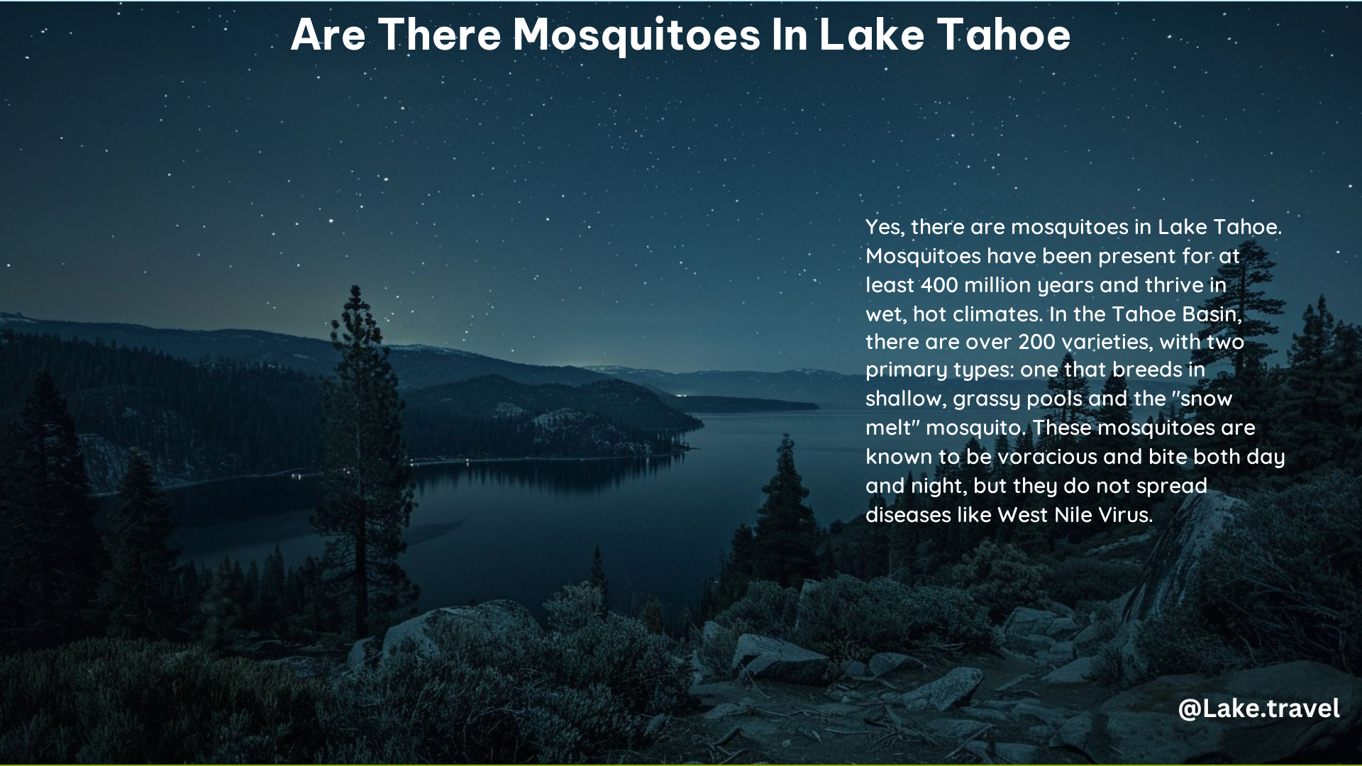 Are There Mosquitoes in Lake Tahoe