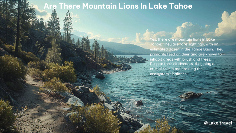 Are There Mountain Lions in Lake Tahoe