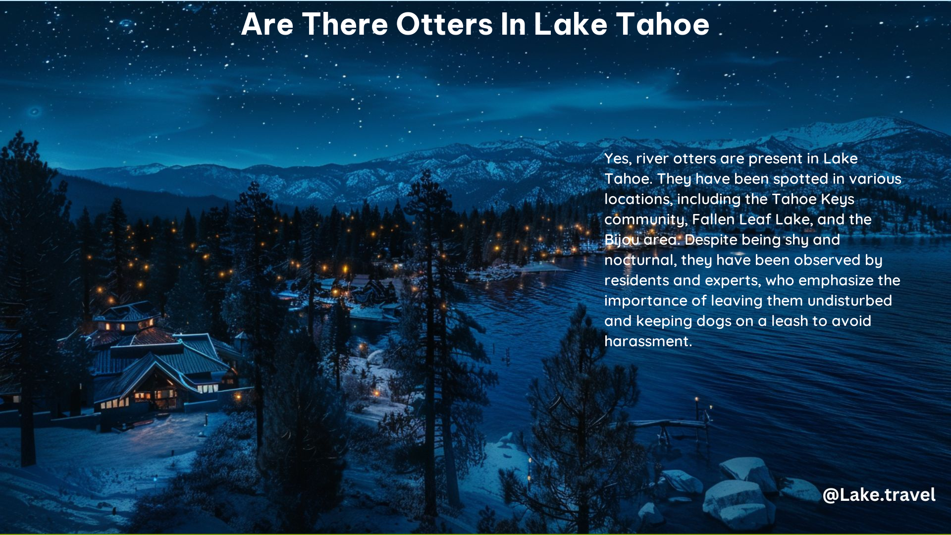 Are There Otters in Lake Tahoe