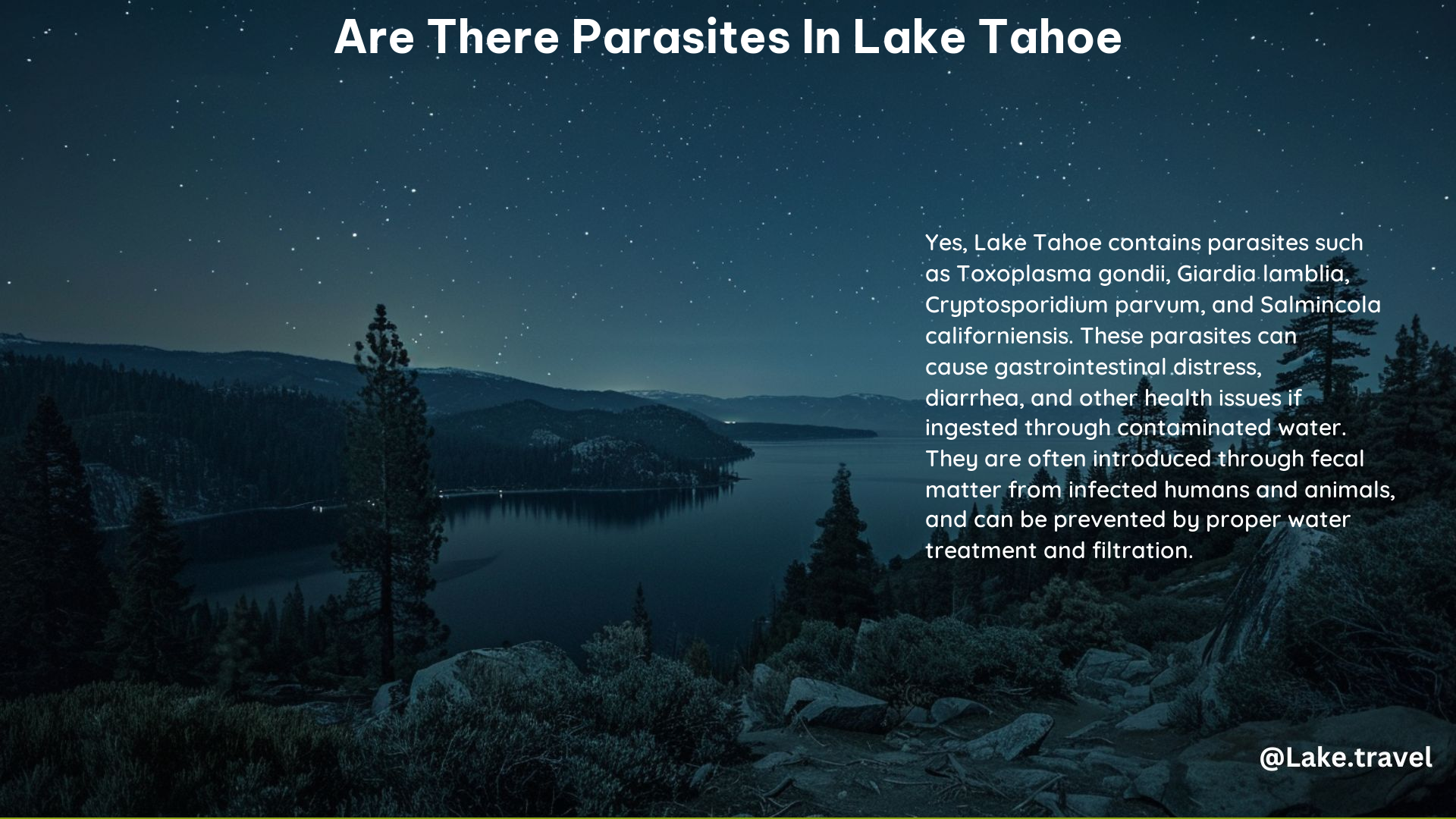 Are There Parasites in Lake Tahoe