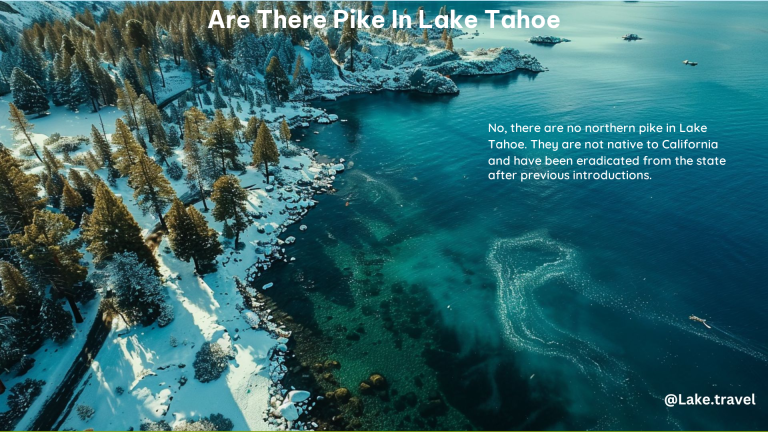 Are There Pike in Lake Tahoe