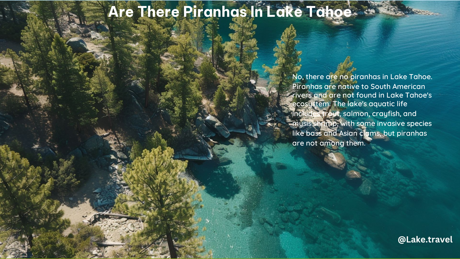 Are There Piranhas in Lake Tahoe