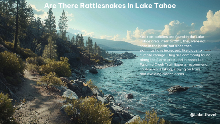 Are There Rattlesnakes in Lake Tahoe