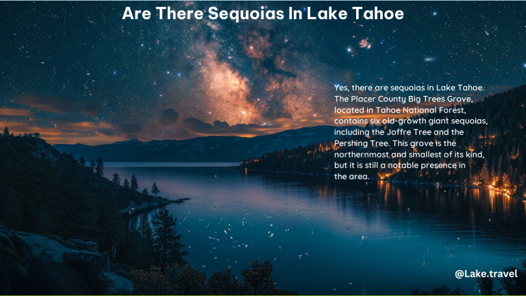 Are There Sequoias in Lake Tahoe