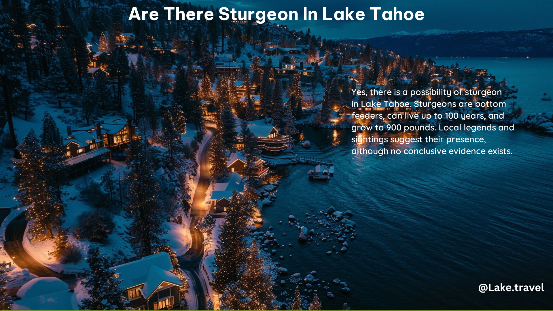 Are There Sturgeon in Lake Tahoe