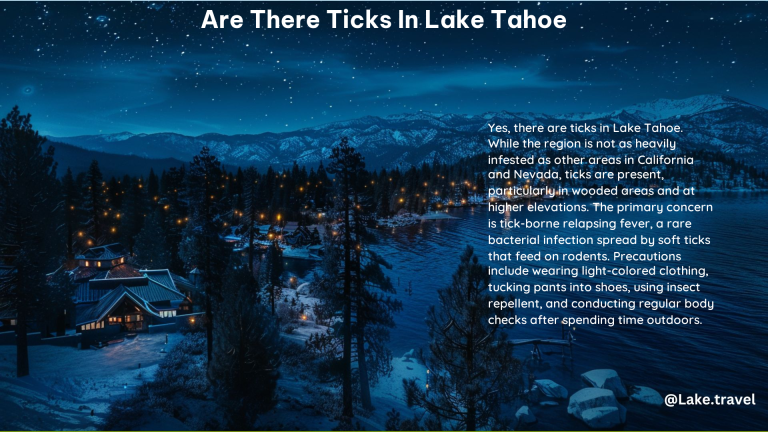 Are There Ticks in Lake Tahoe