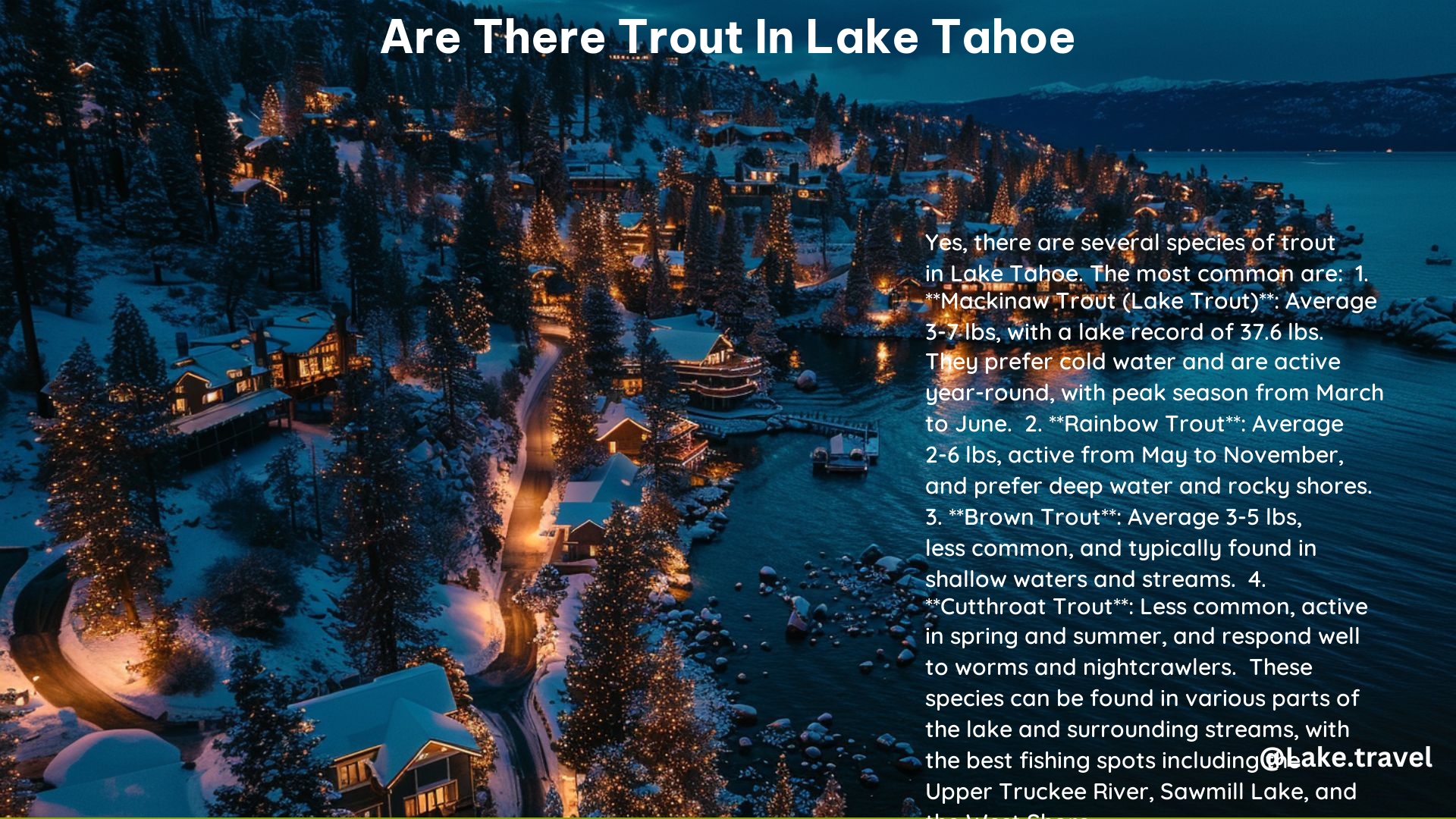 Are There Trout in Lake Tahoe