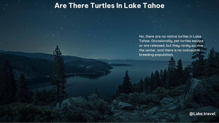 Are There Turtles in Lake Tahoe