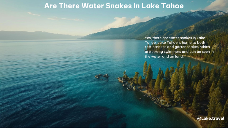 Are There Water Snakes in Lake Tahoe