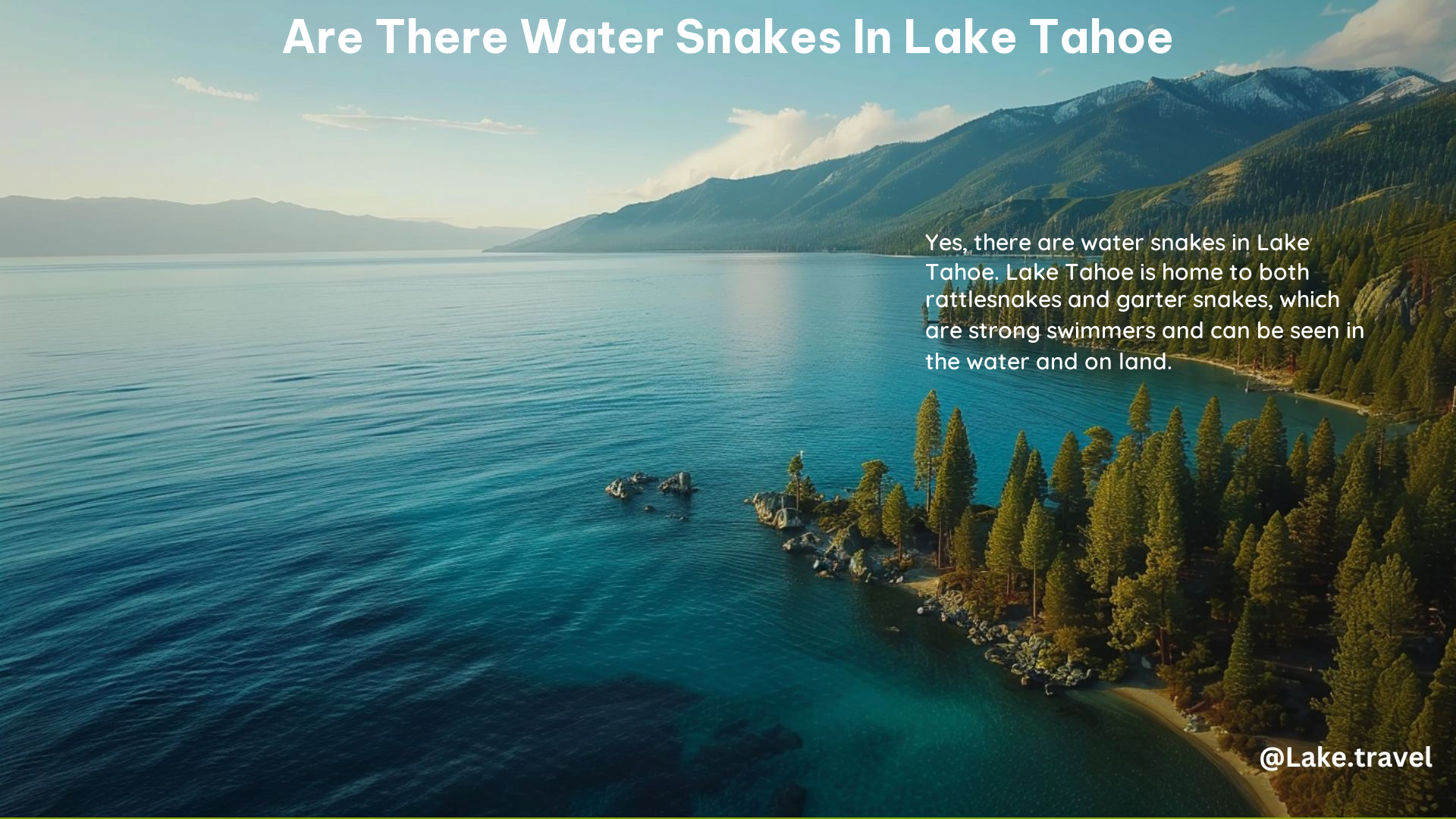 Are There Water Snakes in Lake Tahoe