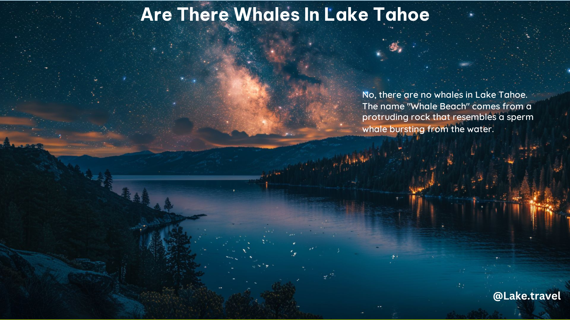 Are There Whales in Lake Tahoe