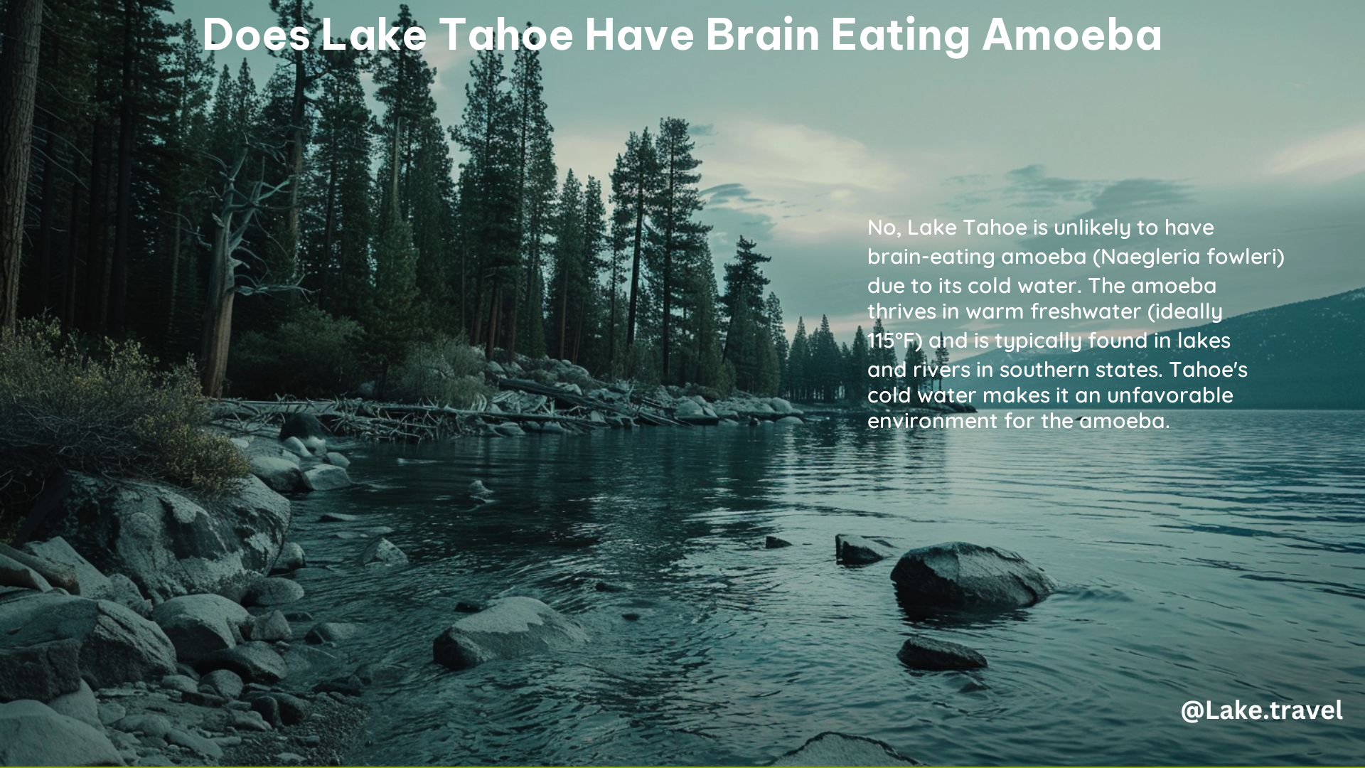 Does Lake Tahoe Have Brain Eating Amoeba