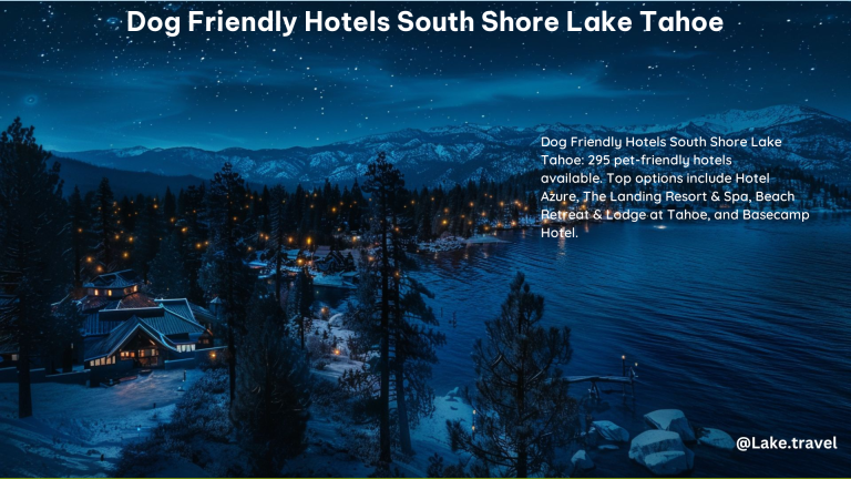 Dog Friendly Hotels South Shore Lake Tahoe