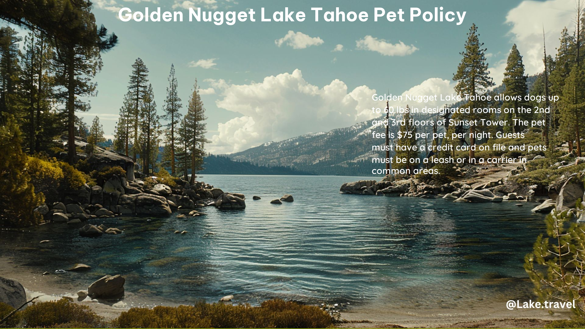 Golden Nugget Lake Tahoe Pet Policy