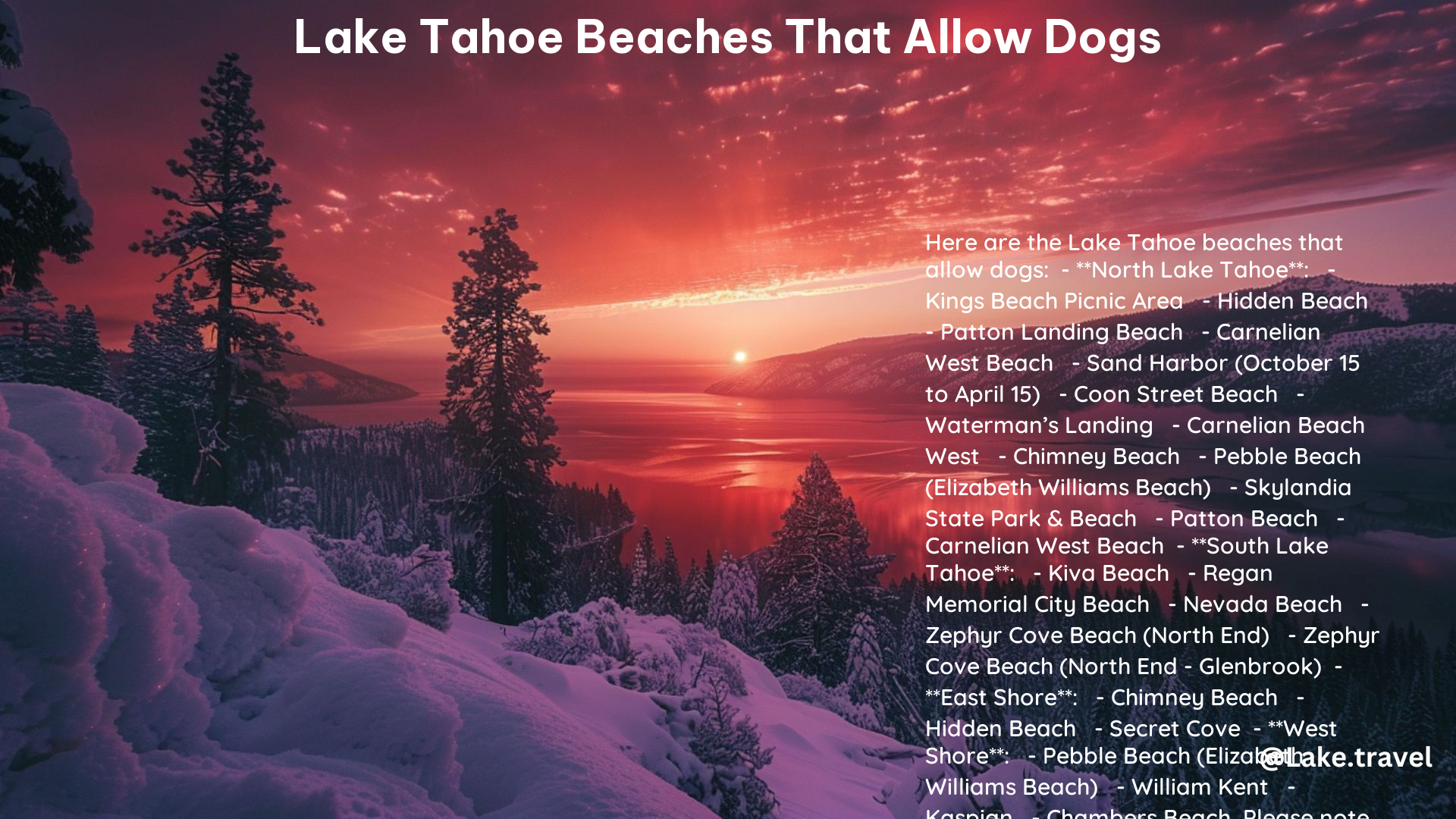 Lake Tahoe Beaches That Allow Dogs