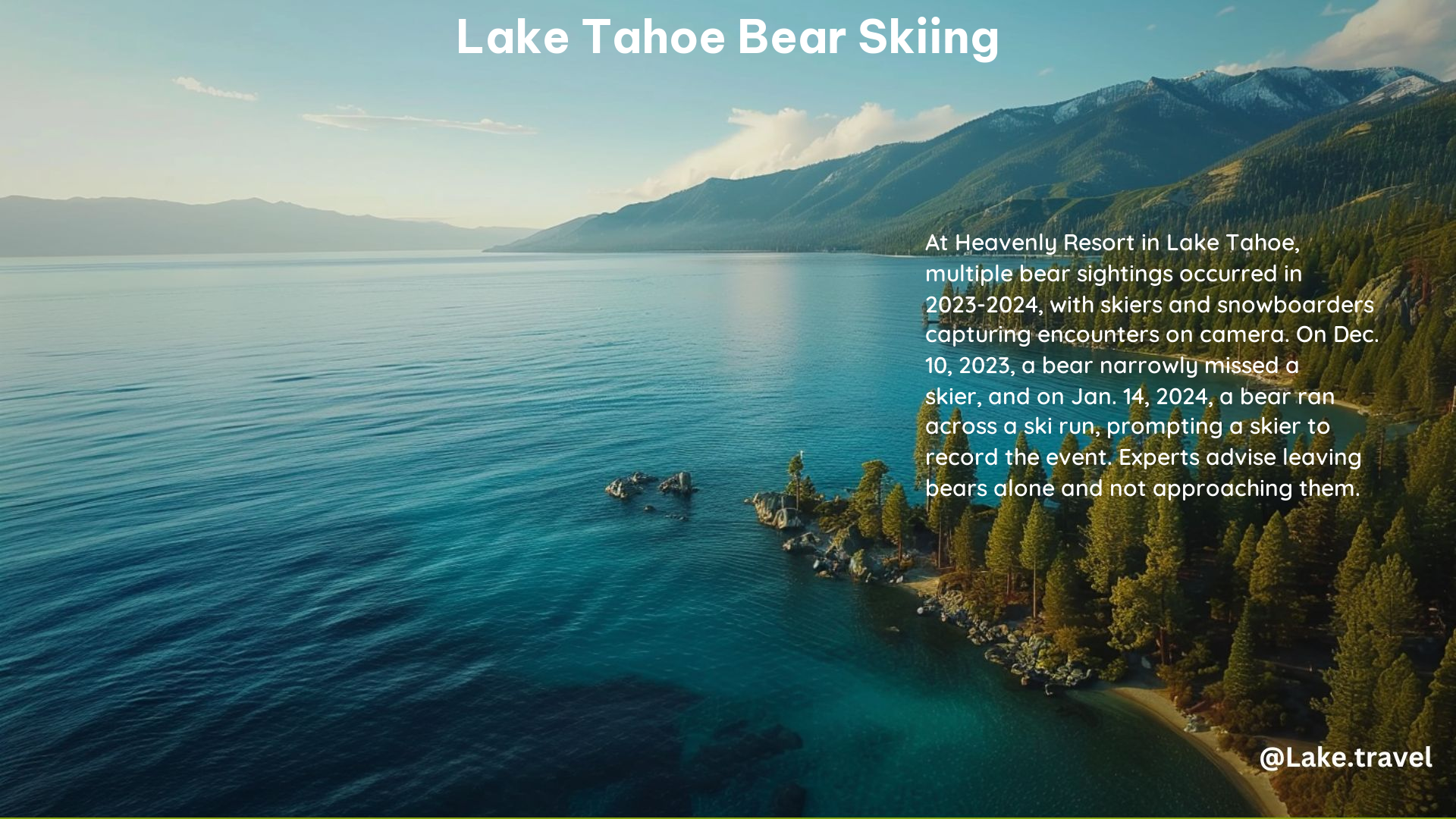 Lake Tahoe Bear Skiing